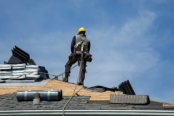 Professional Roof Replacement technician working in Luna Pier, MI